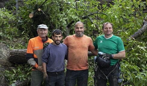 Adullah Al Jabr steht mit drei seiner Kollegen vor einem gefällten Baum.